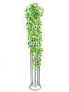 Classical ivy tendril, green/white  160cm